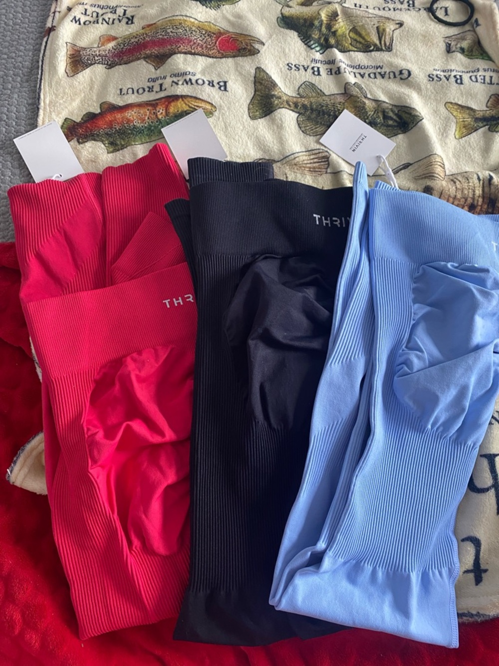 Thrive Seamless Ribbed Leggings Trio in Red, Black & Light Blue